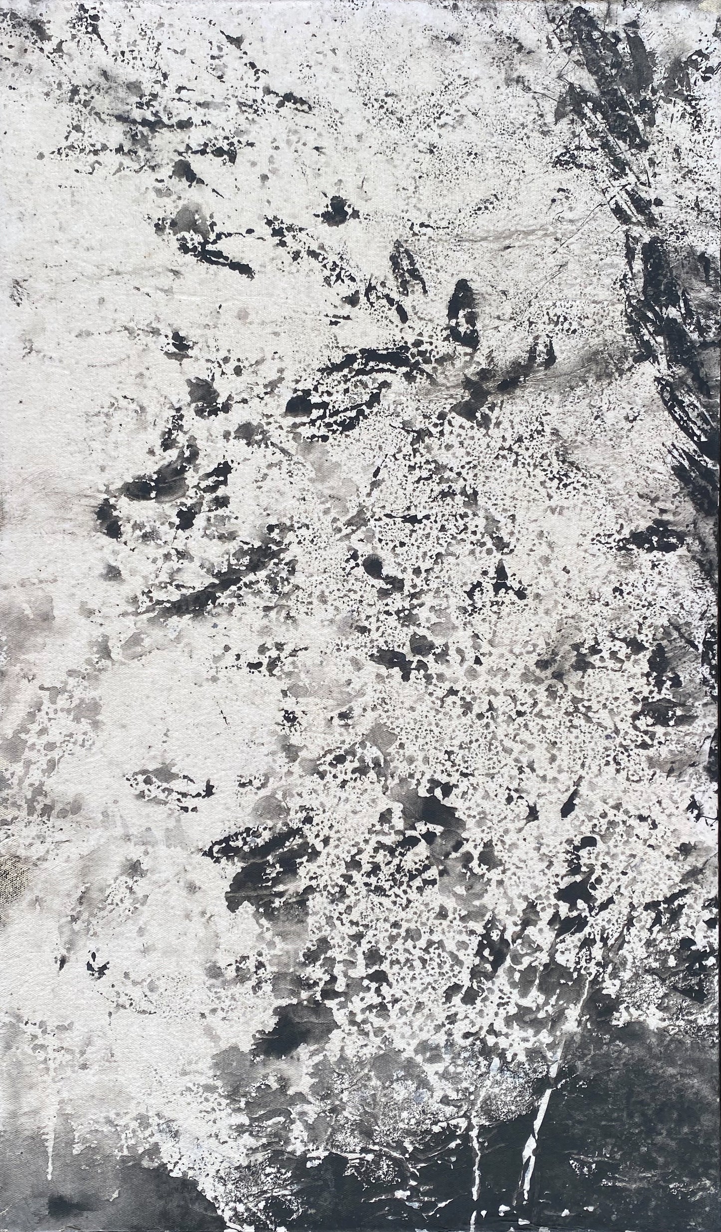 Sans Titre, Diptyque