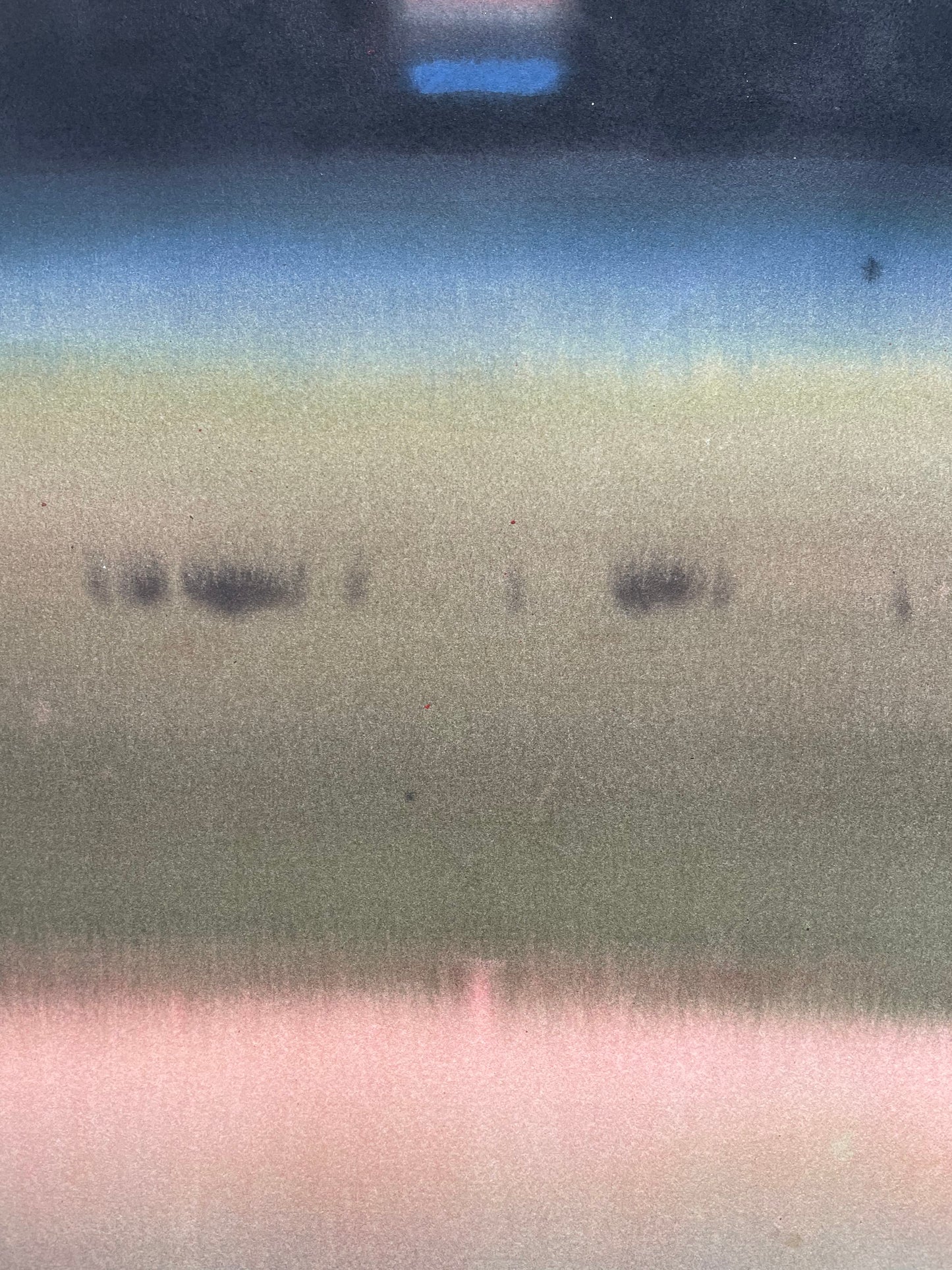 Paysage 3