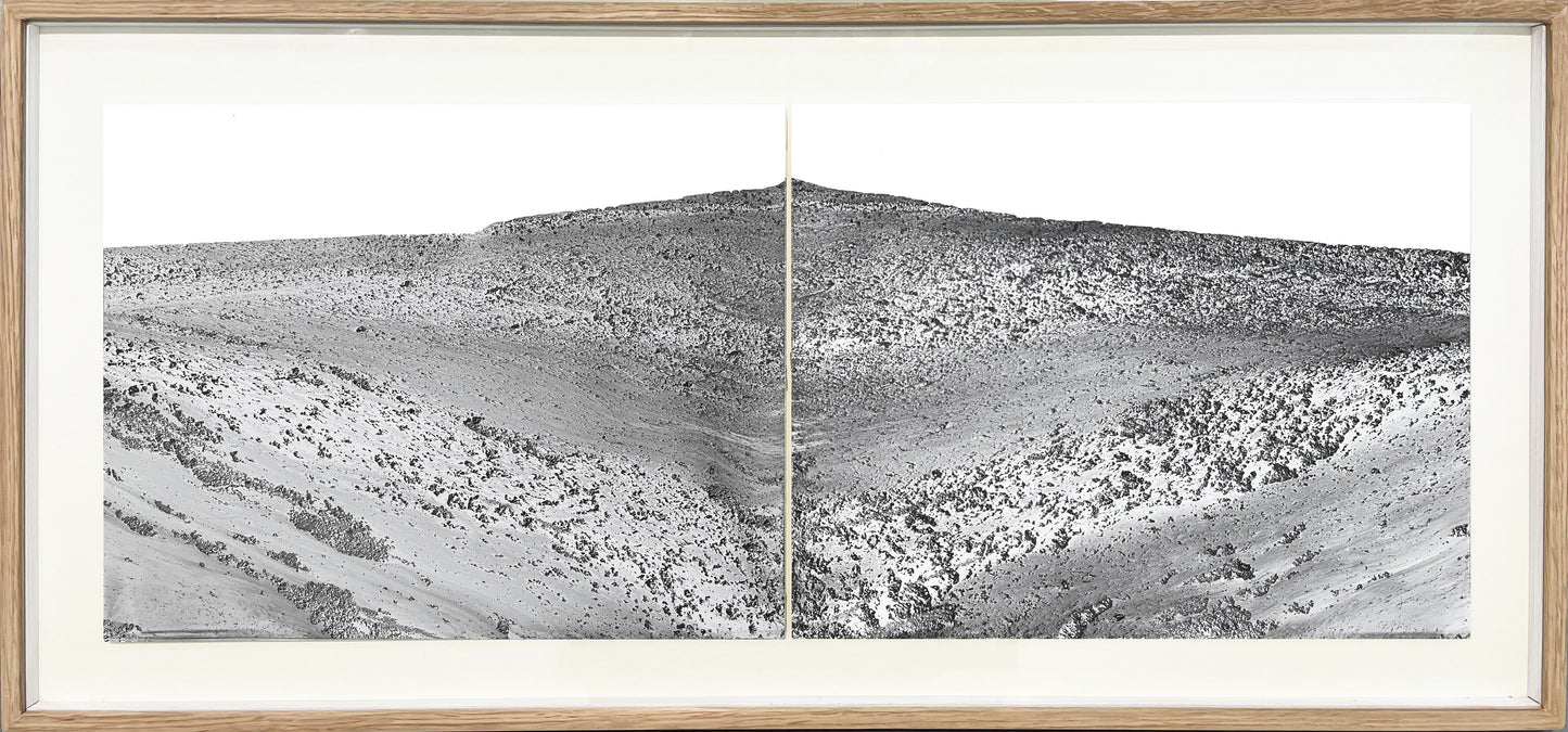 Imagined Landscape Diptych