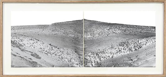 Imagined Landscape Diptych