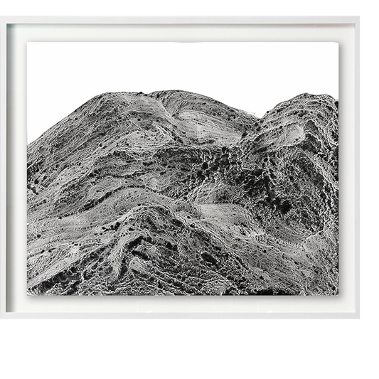Landscape P2