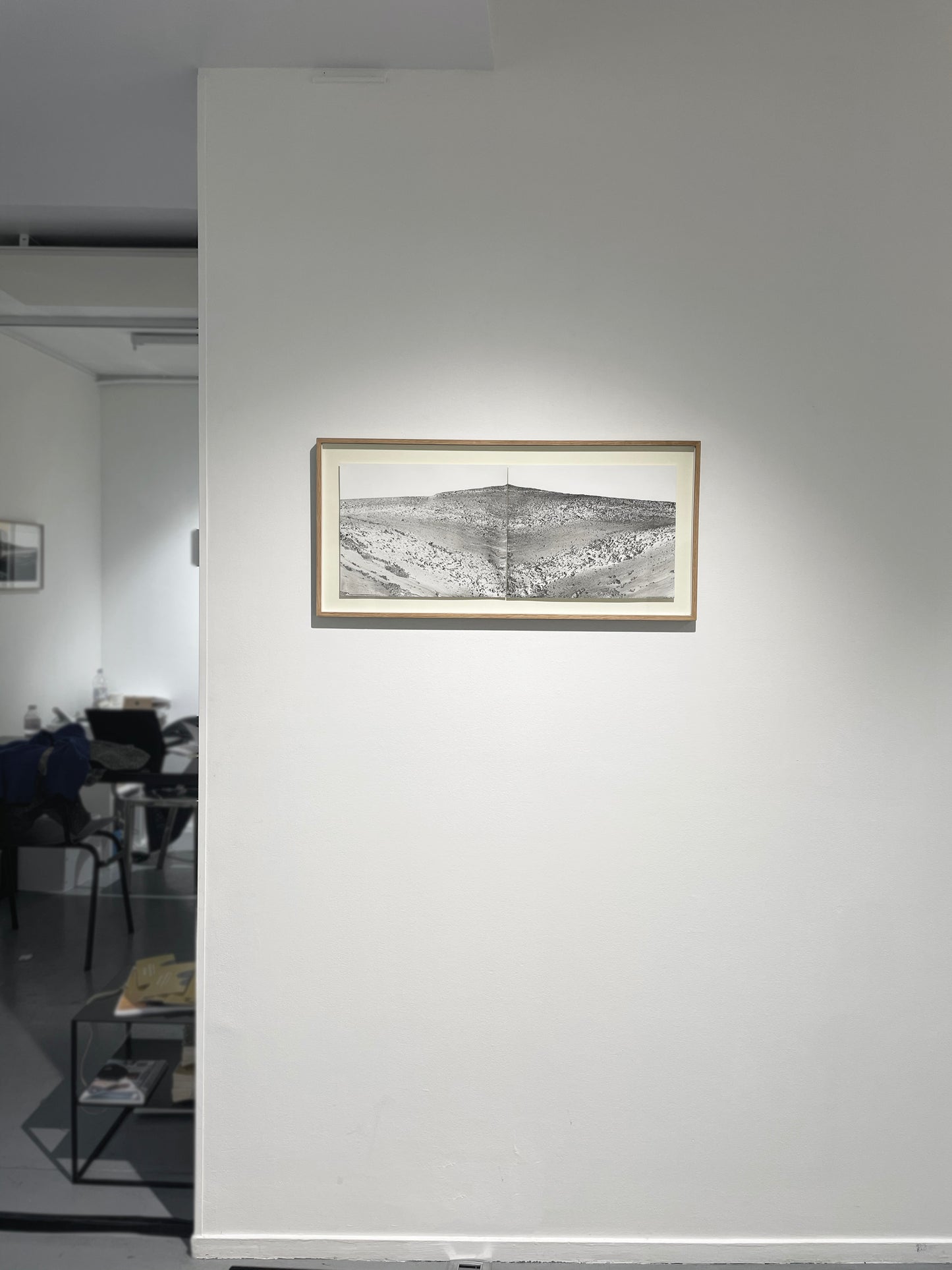 Imagined Landscape Diptych