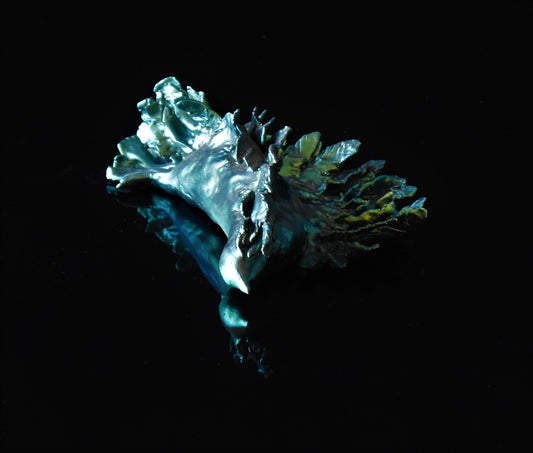 Icarus I