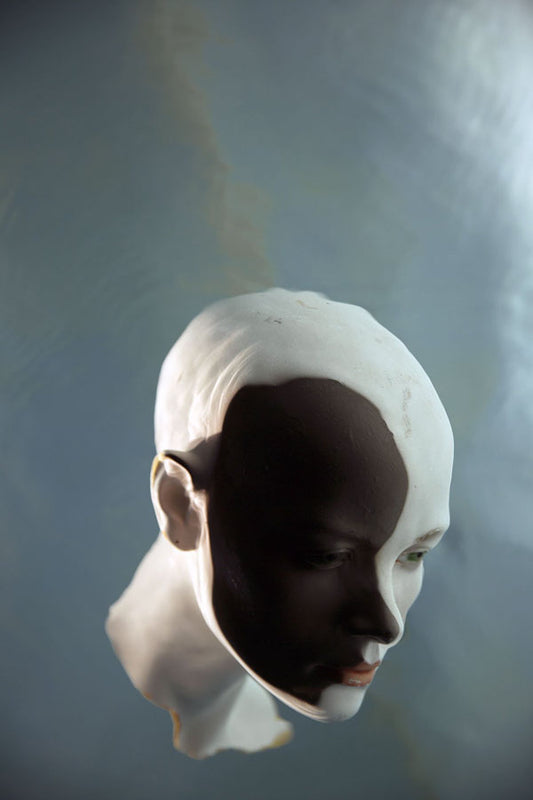 Jean-Pierre Roux – Mad shadow 2 - Galerie Lazarew - Art contemporain Paris