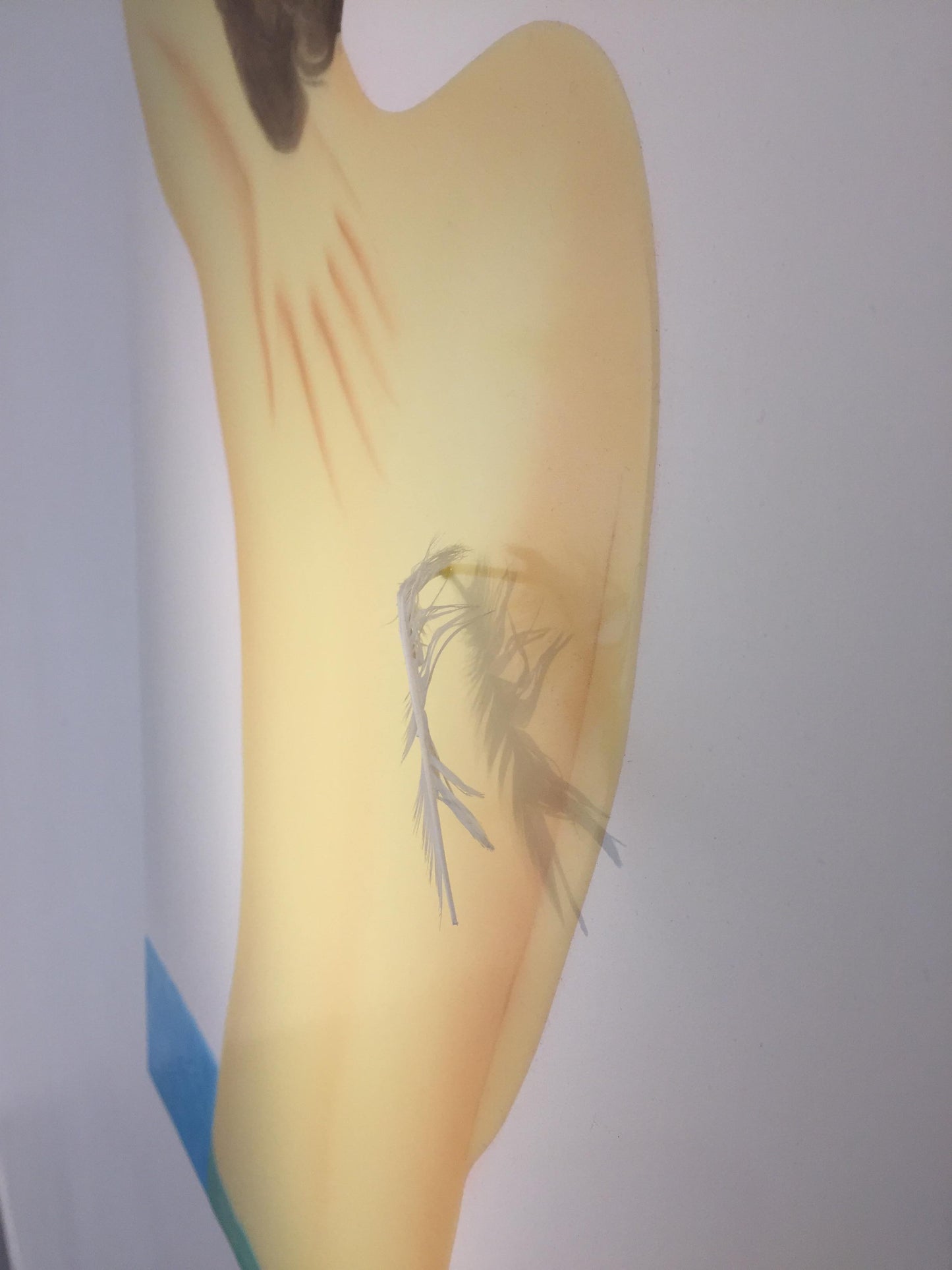 Plume - Touchée - Galerie Lazarew - Art contemporain Paris