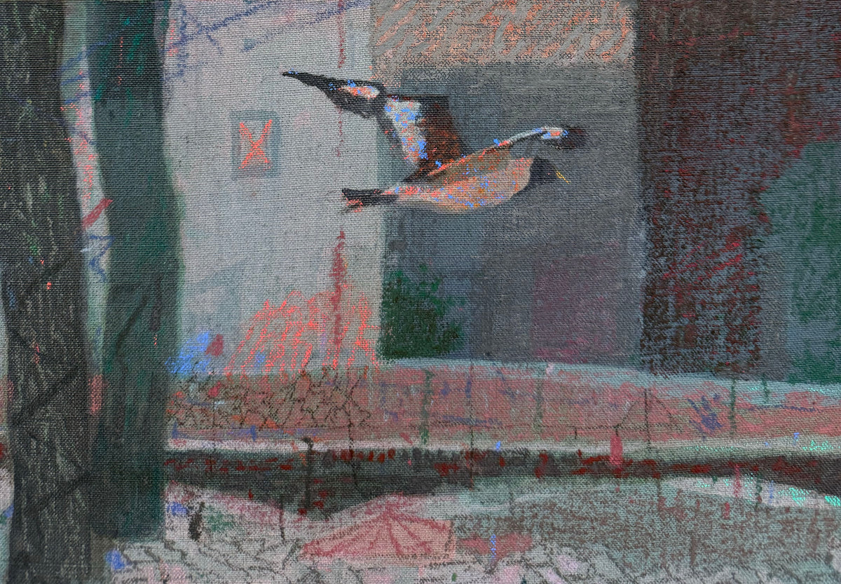 Avian Time