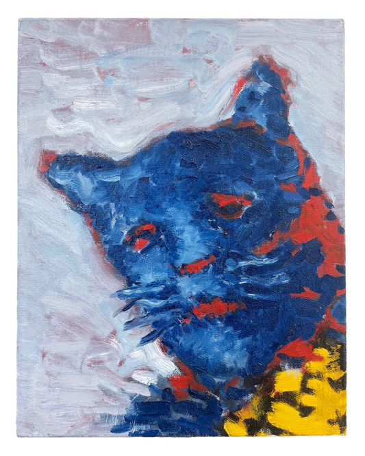 Cat Mask #1