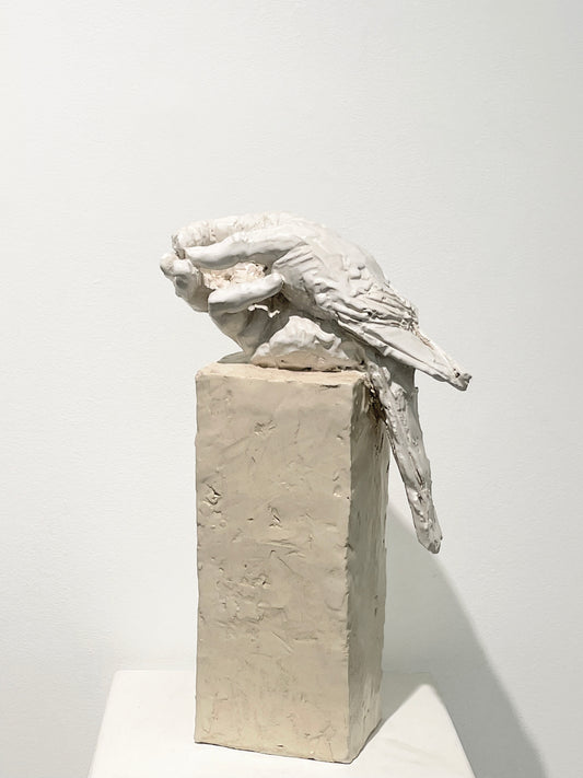 Main oiseau 1