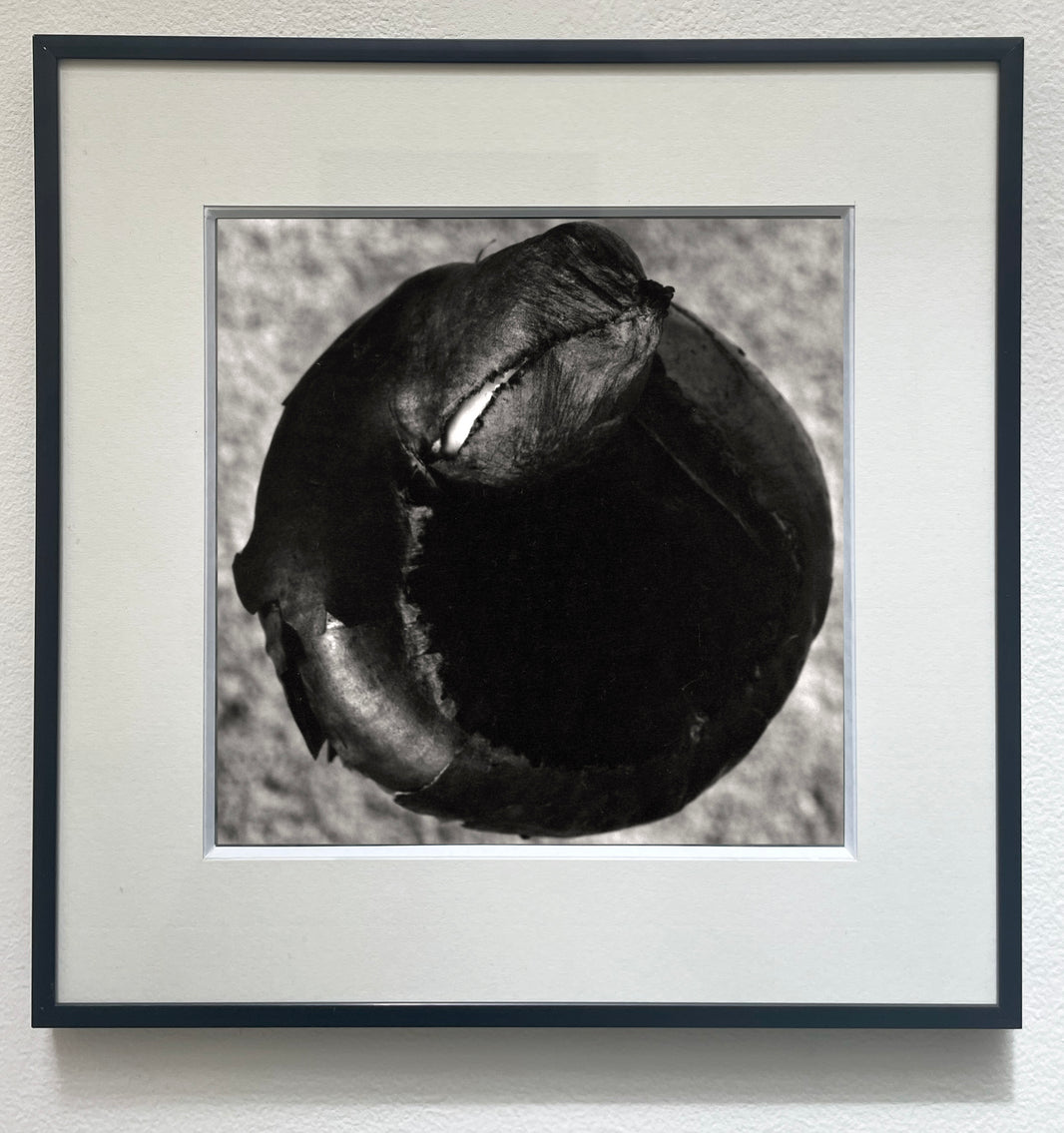 Yuriko TAKAGI Galerie Lazarew Paris