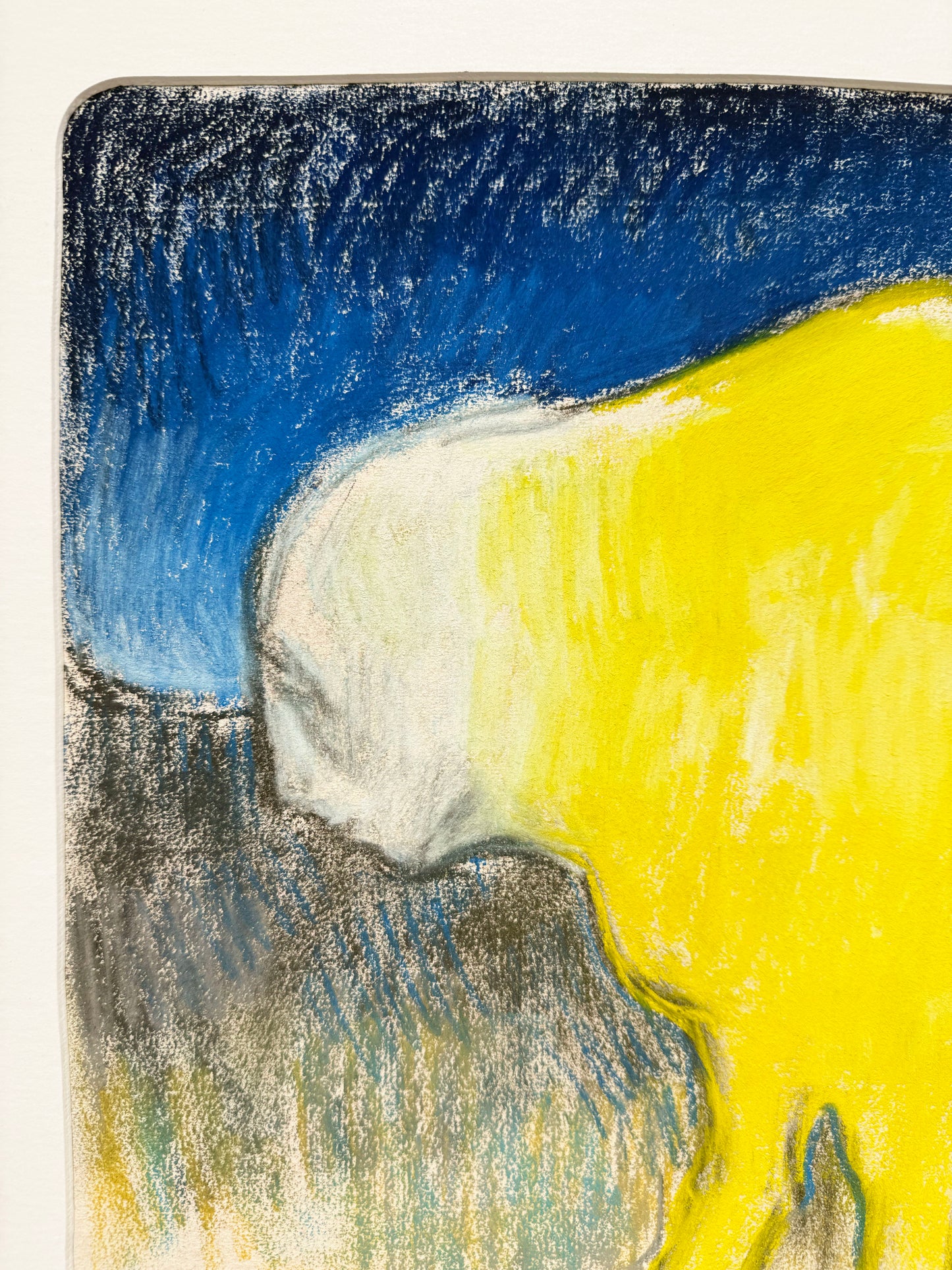 Sans titre ( Boeuf )